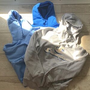 3 Hoodies Gildan/Champion